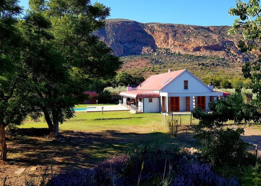 Eastern Cape Studtis 