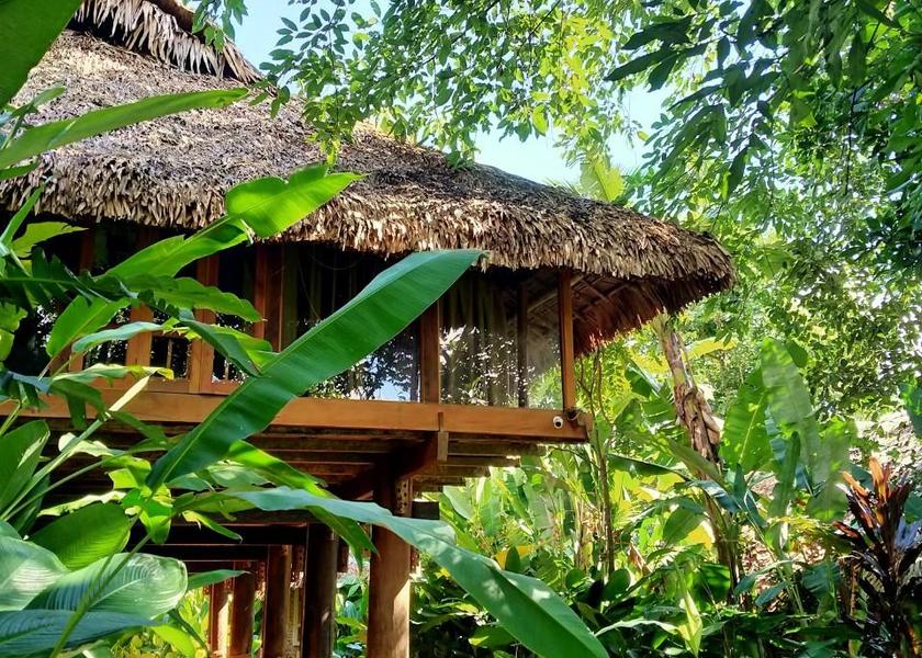 Thanh Hoa Ba Thuoc interior view