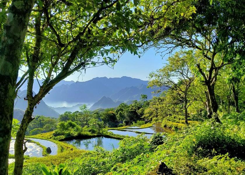 Thanh Hoa Ba Thuoc interior view