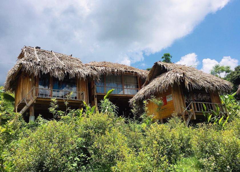 surrounding environment