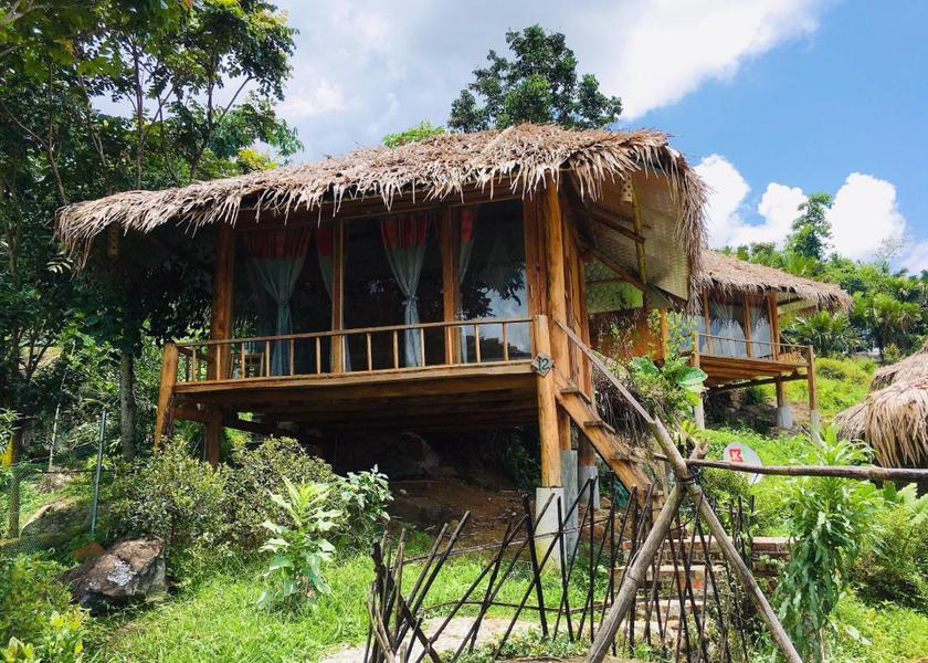 surrounding environment