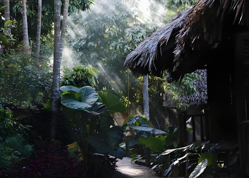 Thanh Hoa Ba Thuoc garden