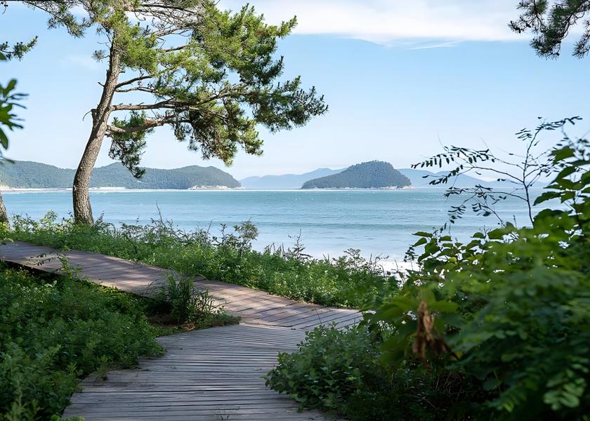 South Jeolla Wando 