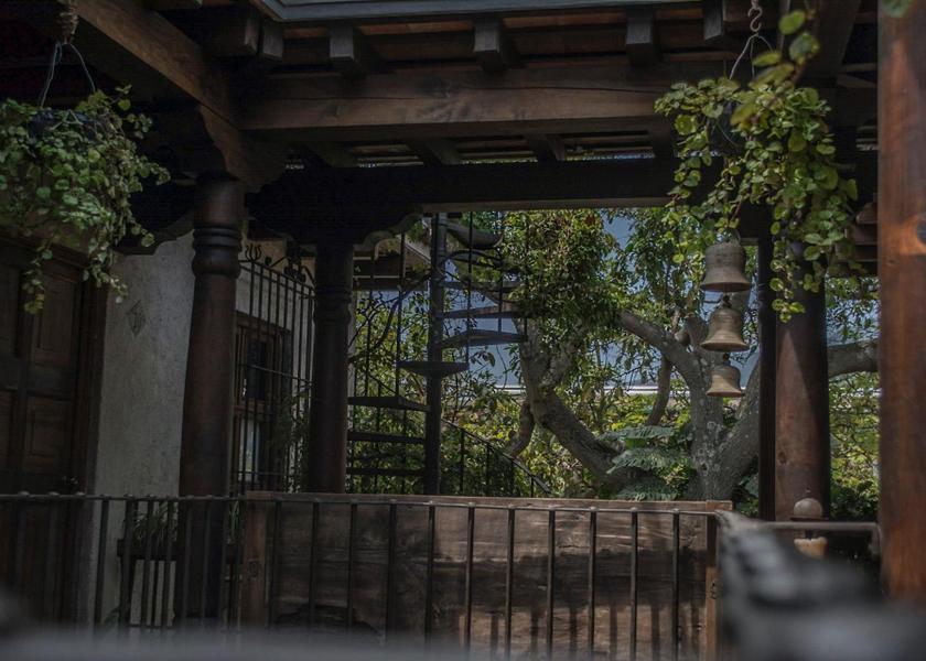 Sacatepequez Antigua Guatemala garden