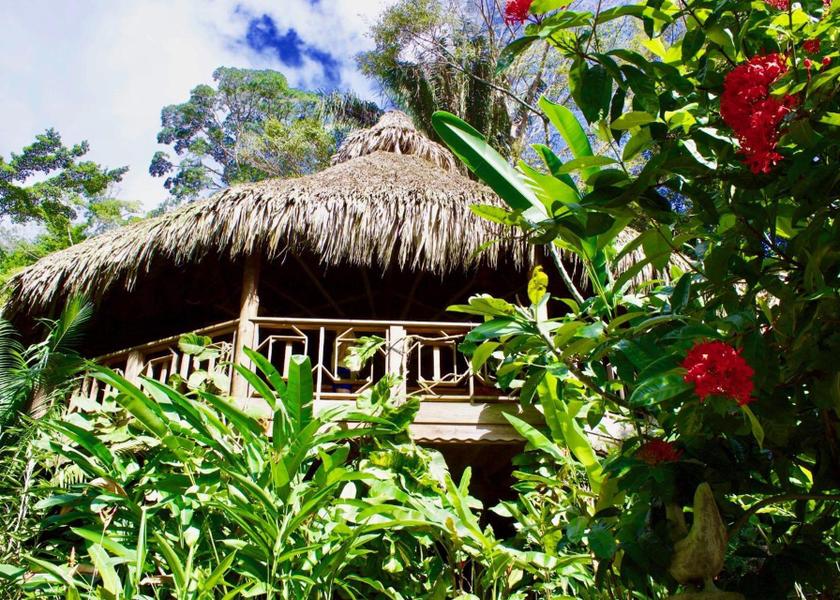 Atlantida La Ceiba Hotel Exterior