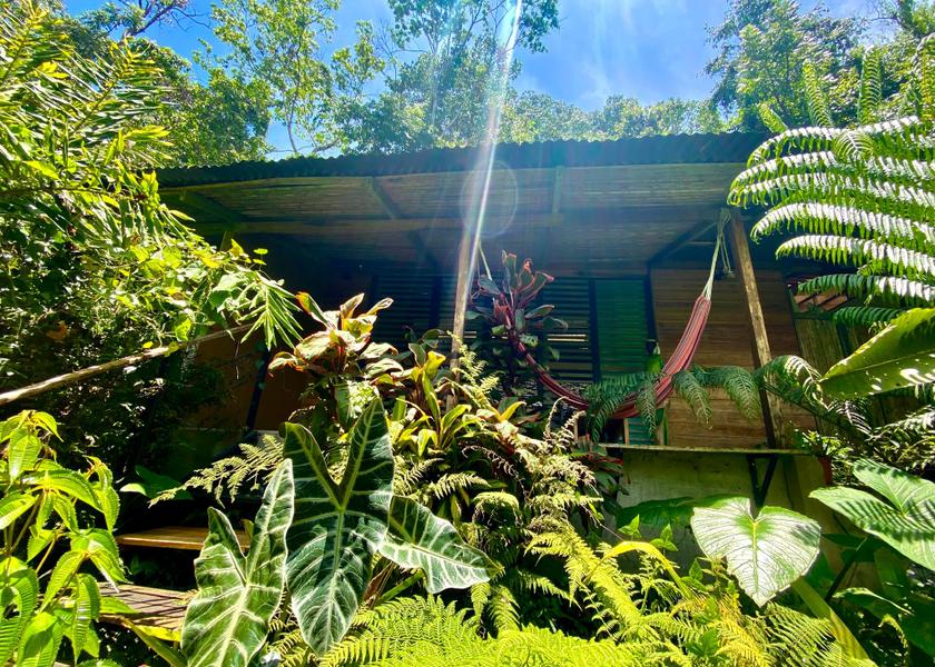 Limon Cahuita Hotel Exterior