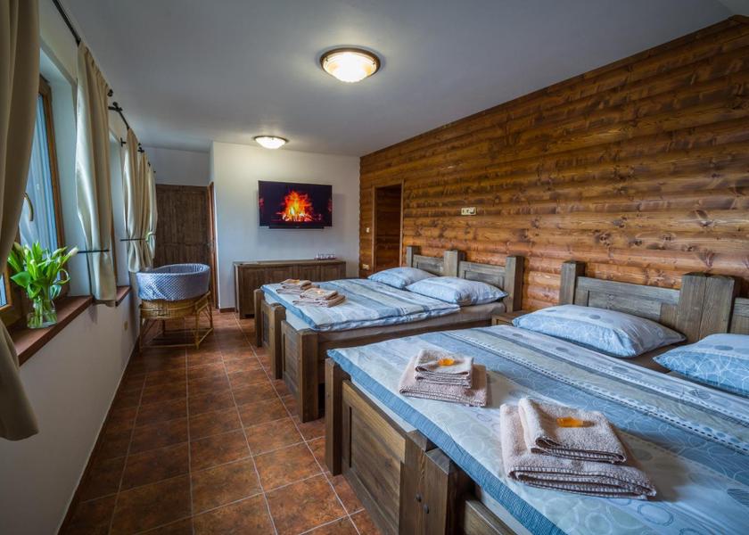 South Bohemia (region) Jindrichuv Hradec Quadruple Room with Shower