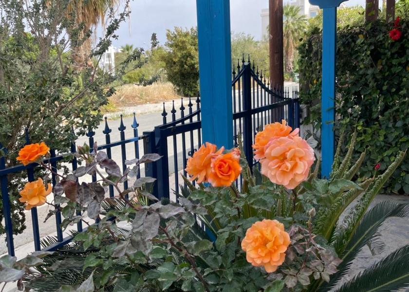  Paphos balcony/terrace