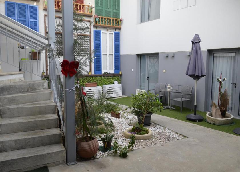 Larnaca District Larnaca garden