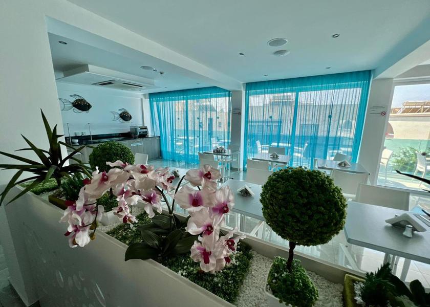 Larnaca District Ayia Napa food and beverages