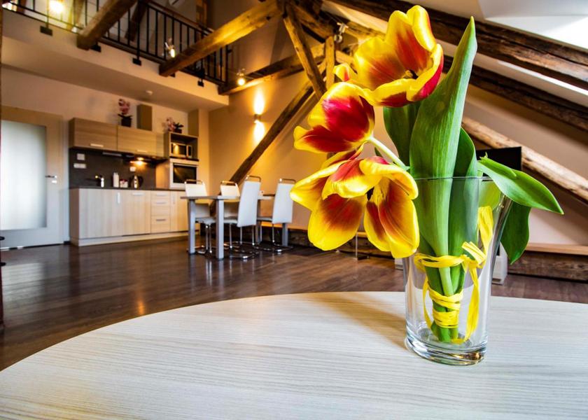 South Bohemia (region) Ceske Budejovice kitchen