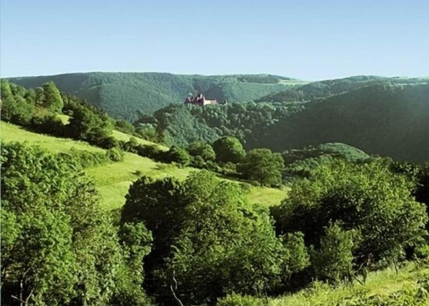 Canton Diekirch Bourscheid View from property