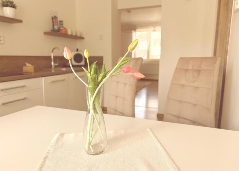 Moravian Silesian (region) Ostrava 