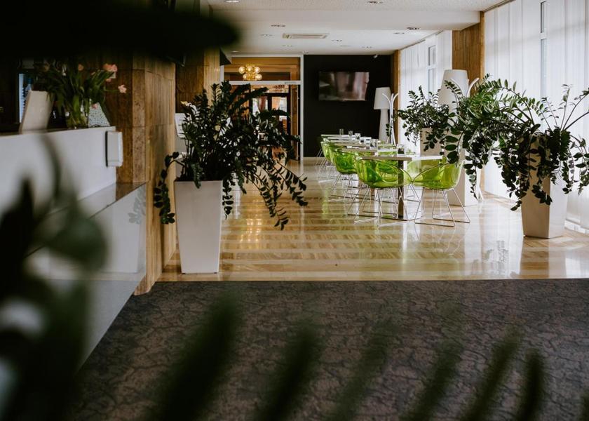 Moravian Silesian (region) Ostrava lobby