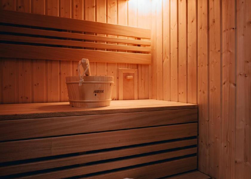 South Moravian (region) Brno sauna