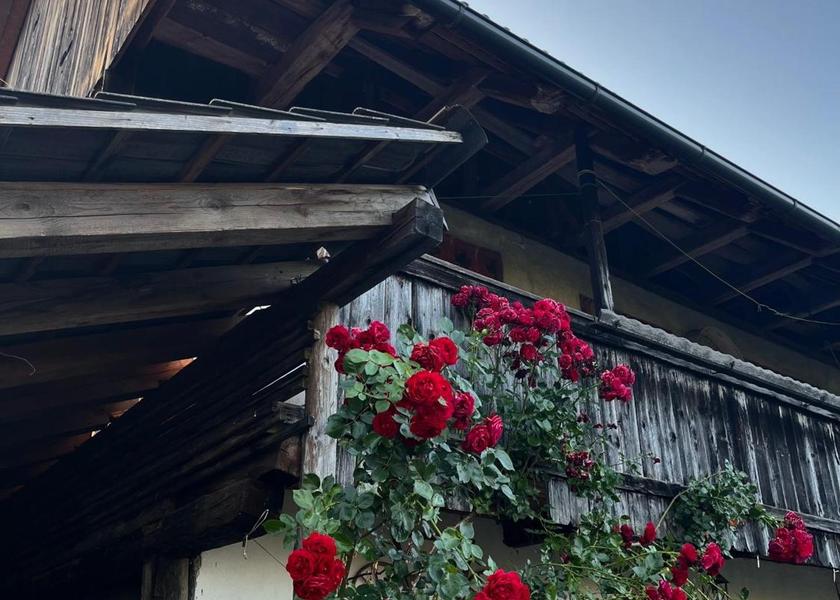  Radovljica exterior view
