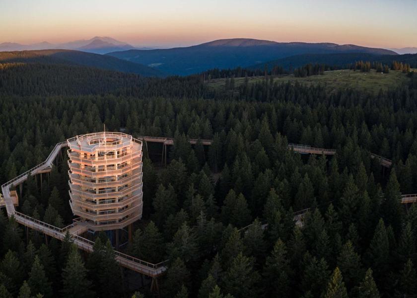 surrounding environment