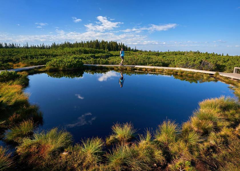 surrounding environment