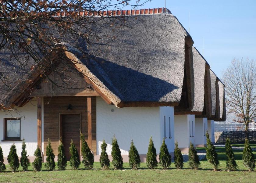 surrounding environment