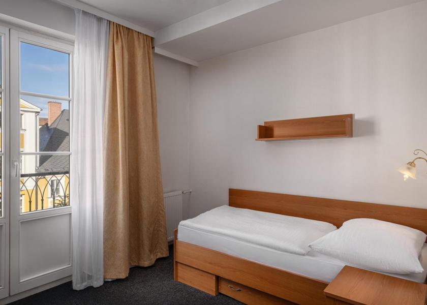 Karlovy Vary Region Frantiskovy Lazne Superior Single Room