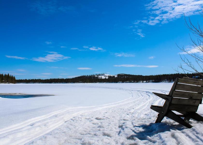 surrounding environment