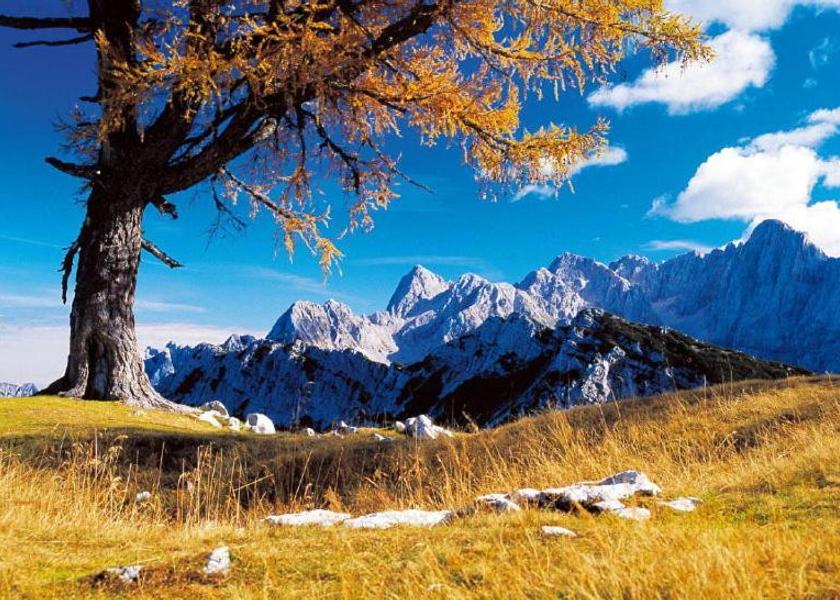  Kranjska Gora exterior view