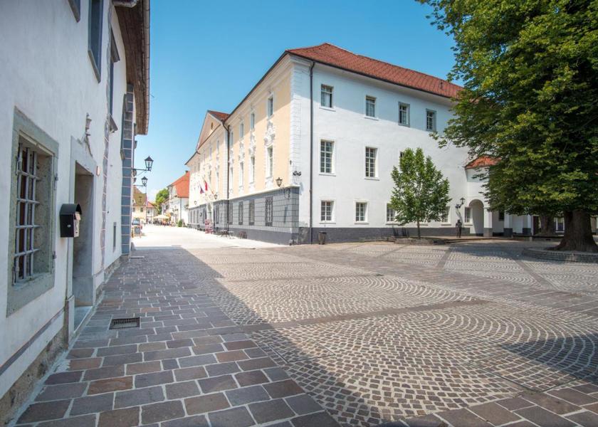 surrounding environment