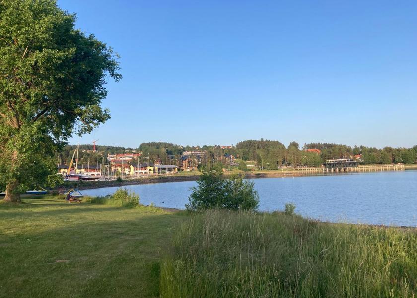 surrounding environment