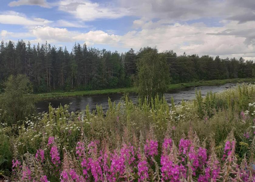 Rovaniemi Enontekio view