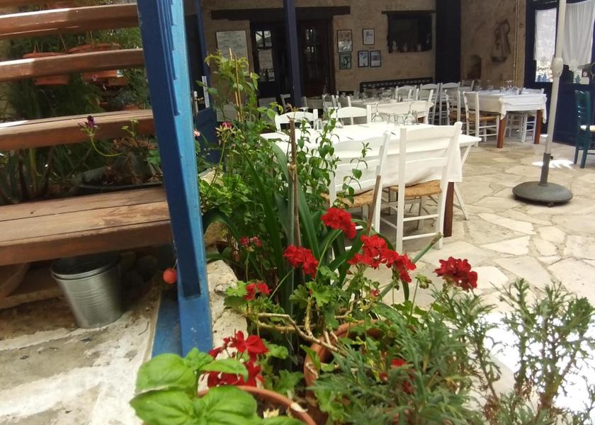 Limassol Vouni garden