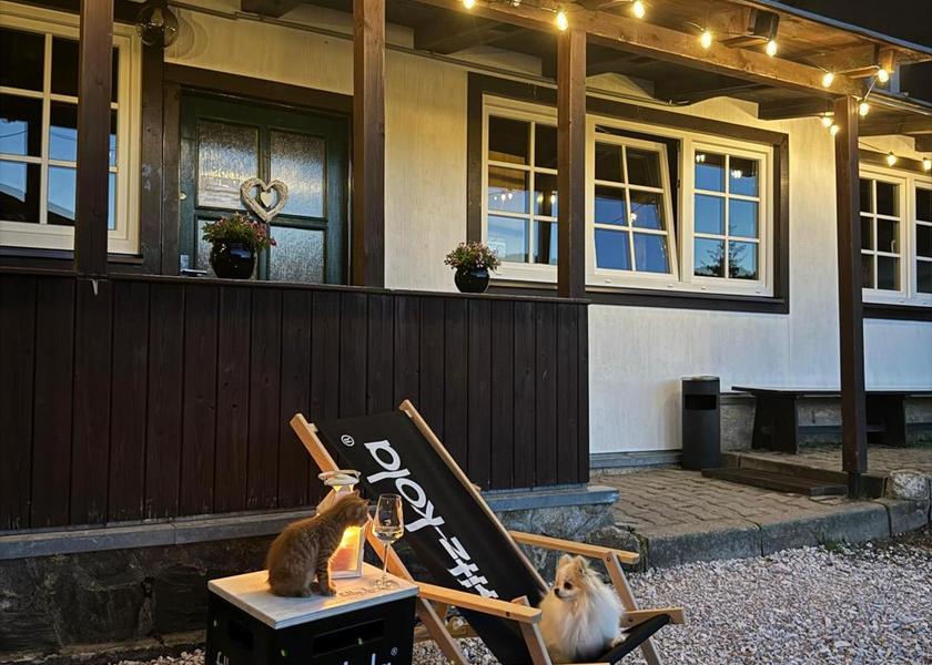 Hradec Kralove Region Pec pod Snezkou 