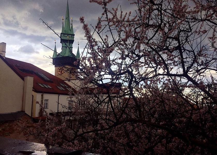 South Moravian (region) Znojmo balcony/terrace