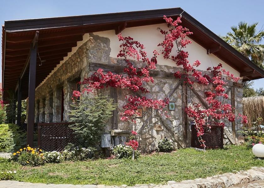Muğla Datça Room
