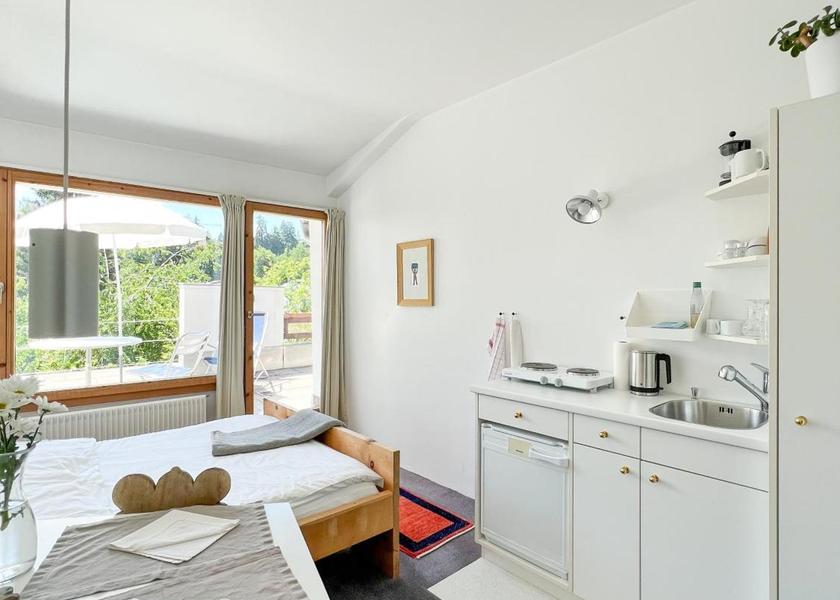 Graubuenden Flims Penthouse Apartment