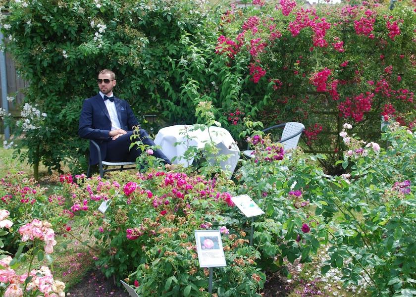 Skåne County Simrishamn Garden
