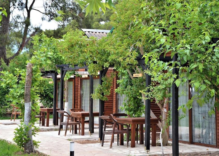 Antalya Region Kumluca Room