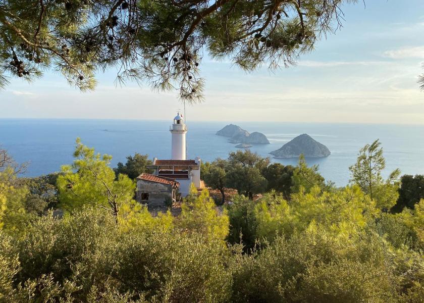 surrounding environment