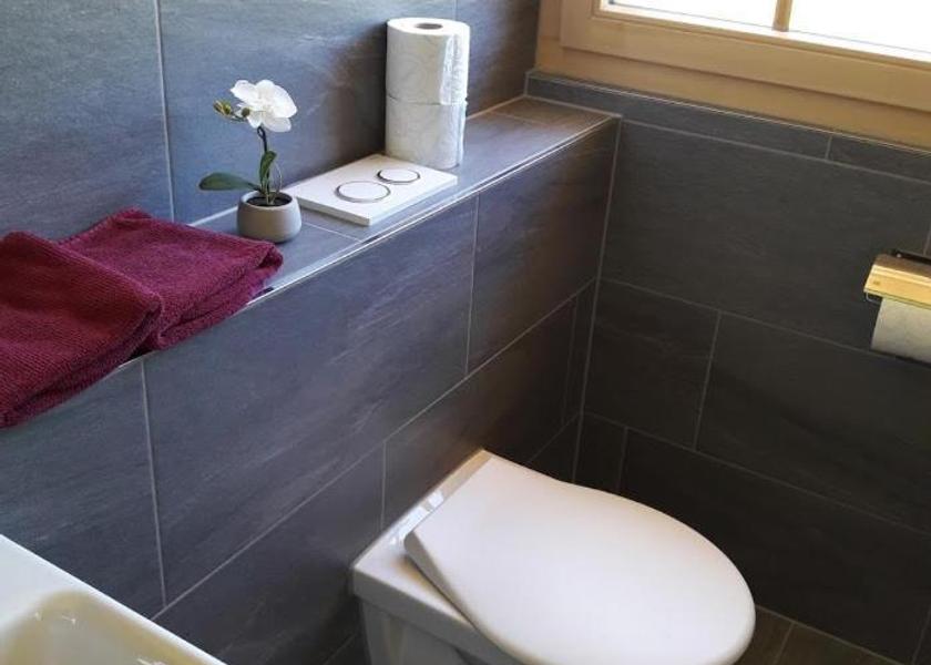 Canton of Bern Adelboden Deluxe Double Room with Shower