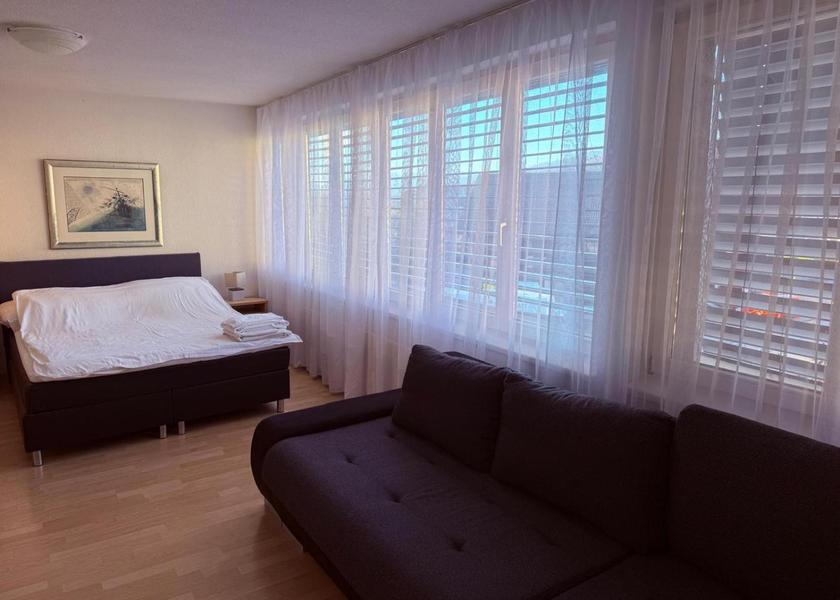 Canton of Solothurn Olten Apartment with Mountain View