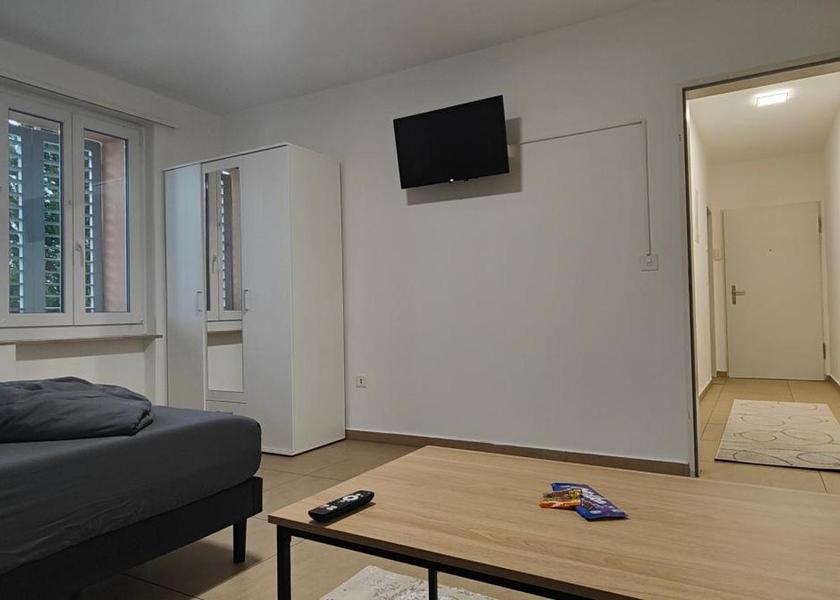 Canton of Solothurn Olten Apartment - Ground Floor