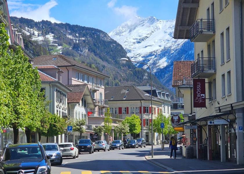 Canton of Bern Meiringen surrounding environment
