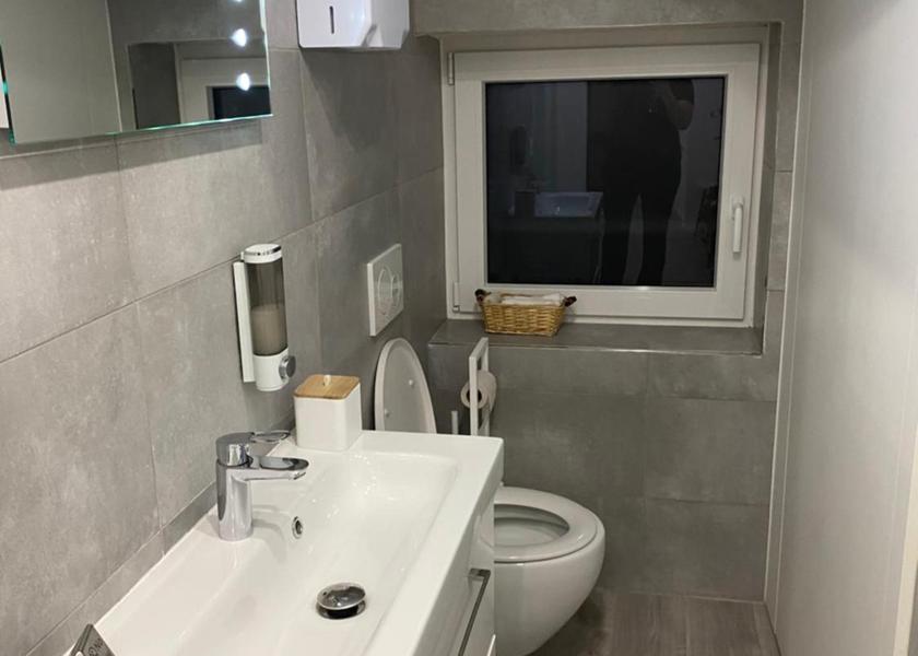 Canton of Ticino Bellinzona Double Room with Private Bathroom