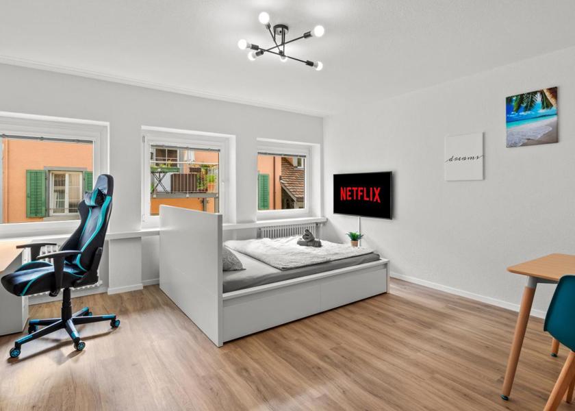 Canton of Zurich Winterthur 