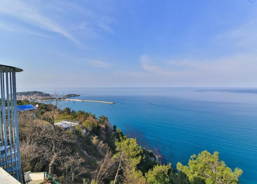 surrounding environment