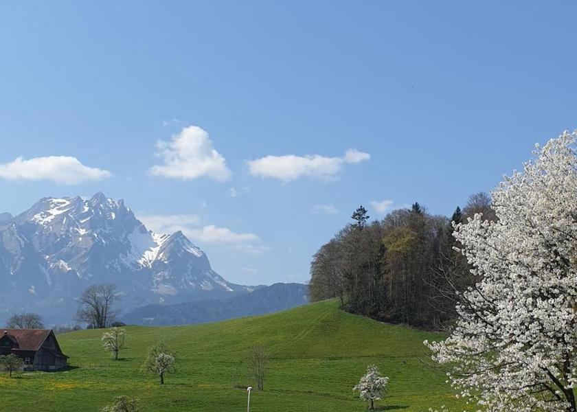 Canton of Lucerne Horw balcony/terrace