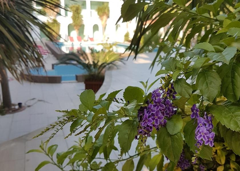 Balikesir Burhaniye Property grounds
