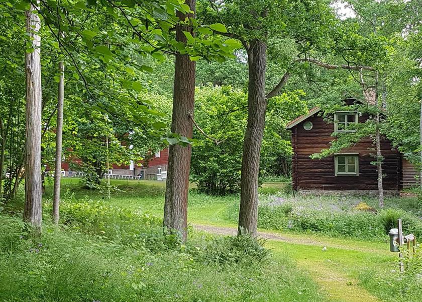 surrounding environment