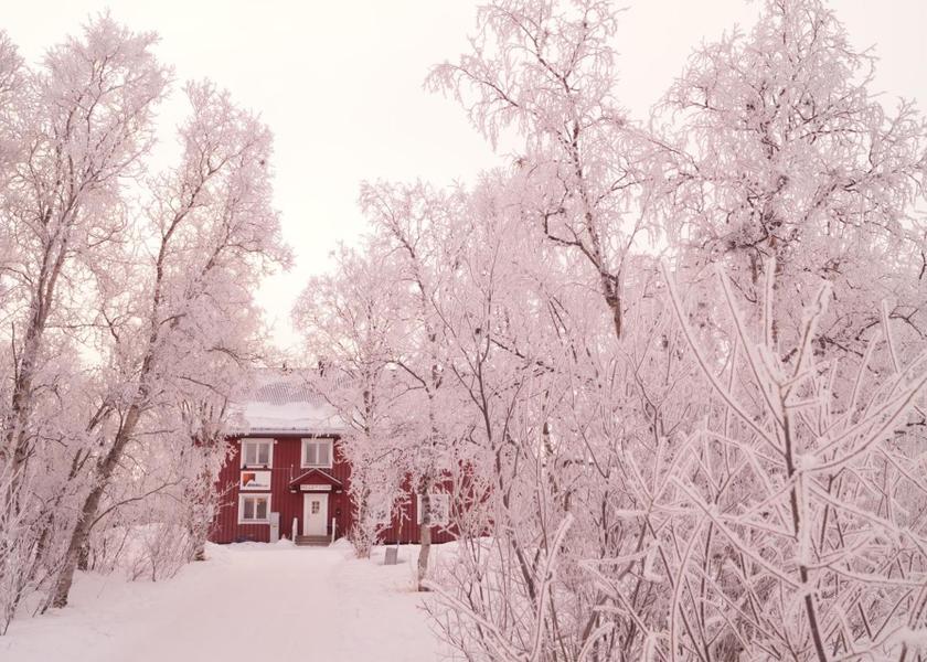 Norrbotten County Abisko 