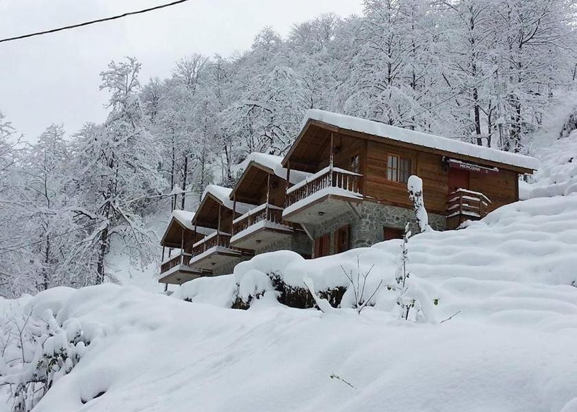 Artvin Province Arhavi 