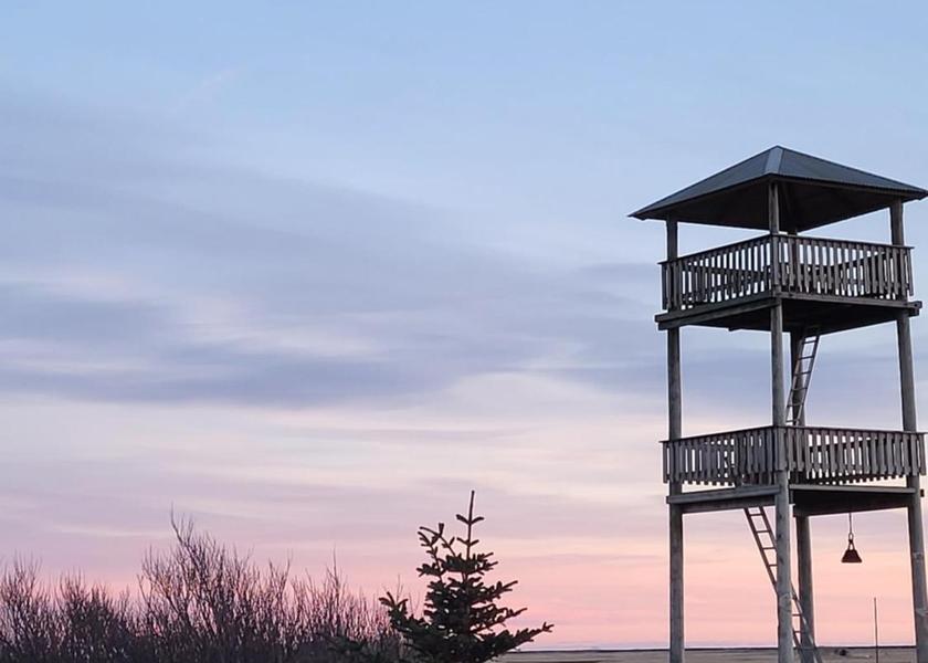 surrounding environment